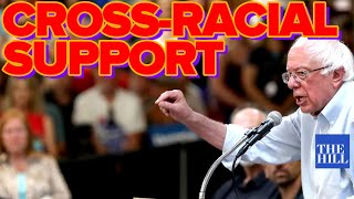 Panel: Poll reveals Bernie's cross-racial support