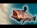 Mexico Spearfishing Giant Cubera Snapper - Baja Strike Mission