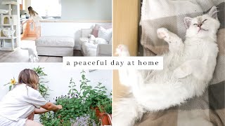 A Slow & Peaceful Day Of Homemaking In My Cottage | Kittens, Gardening & Health Update