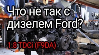 What is wrong with the Ford 1.8 TDCi 8-valve turbodiesel (F9DA)? Subtitles!