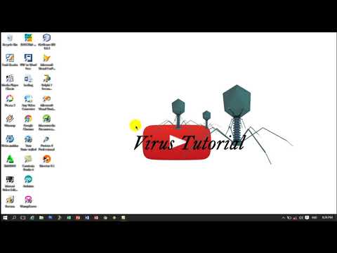Cara Import Sql Phpmyadmin Cara Import Sql Phpmyadmin