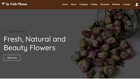 Program Website Menggunakan Bootstrap / MK Pemrograman Web 👩🏻‍💻