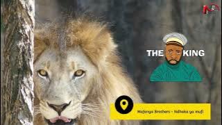 Mafenya Brothers - Ndhaka ya mufi