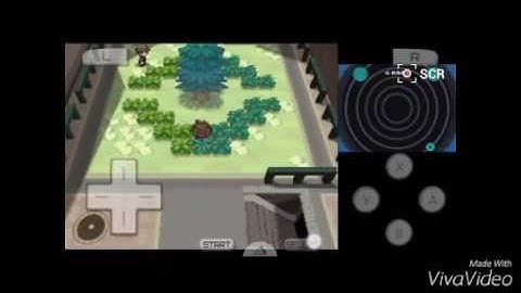 ●How to catch Shiny Eevee ● In pokemon White 2