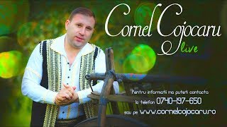 Video thumbnail of "Cornel Cojocaru - Drum la deal si drum la vale  LIVE - Muzica de petrecere  COVER"