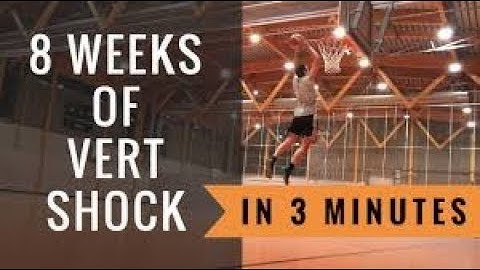 8 Weeks With Vert Shock Results - Week By Week