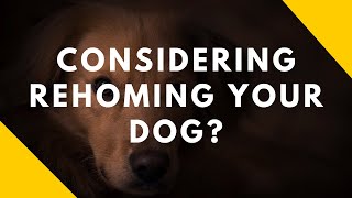 Considering Rehoming Your Dog?
