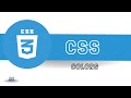 CSS Colors // CSS Color in Nepali // Color Name, HEX, RGB #6
