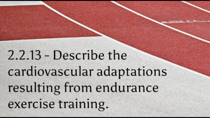 2.2.13 - Describe the cardiovascular adaptations resulting from endurance exercise training