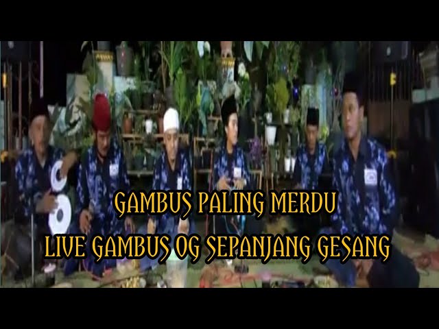 SHOLAWAT GAMBUS MERDU ][ kumpulan lagu gambus || live gambus og sepanjang gesang class=