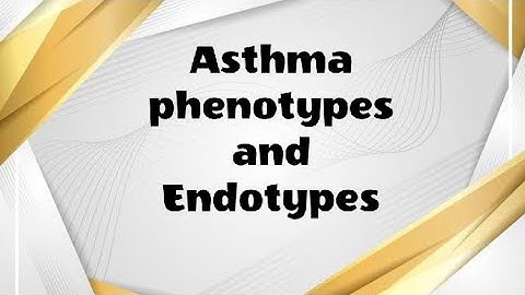 Asthma phenotypes and endotypes ... By Prof.  Zeinab Ahmed Ashour