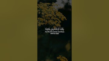 ولقد أرسلنا موسى بآياتنا وسلطان مبين ۝ إلى فرعون وملئه فاتبعوا أمر فرعون ..| سعد الغامدي