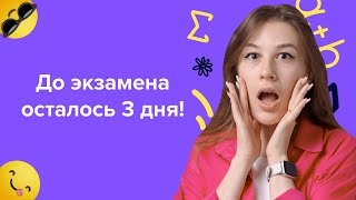 Что делать за 3 дня до экзамена? | Подготовка к ЕГЭ по математике 2024