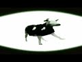 POV: Dancing Polish Cow tortures you
