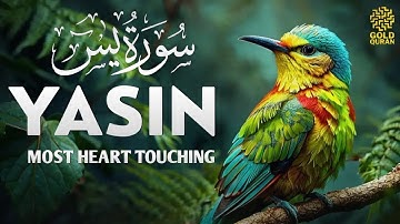 Calming Surah Yasin for Insomnia Relief, Depression ✦ Yaseen سورة يس ✦ Therapeutic Quran