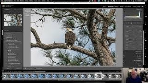 Tutorial 105 Lightroom Super Resolution Feature