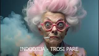 INDODJIJA - TROSI PARE #balkan  #music #speedup