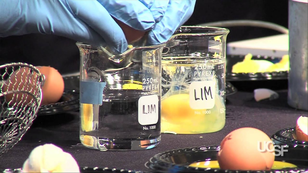 Science of Cooking Part II The Cooking YouTube