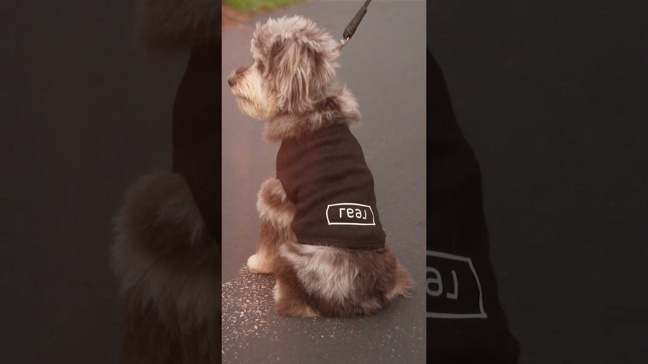 The Gassensmith Group REALTORS join REAL BROKERAGE