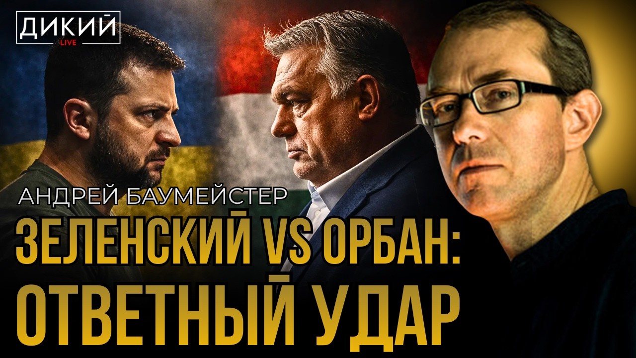 УБОГОСТЬ, ЗАМАСКИРОВАННАЯ ПОД ПРЕВОСХОДСТВО. АНДРЕЙ БАУМЕЙСТЕР | ДИКИЙ LIVE