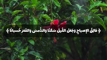 قراءة تدبرية للقارئ ماجد الحازمي - سورة الانعام #quran #قرآن #اكسبلور #حالات_واتس