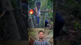 He split a whole bamboo with a motorcycle cable! 😱 #shorts