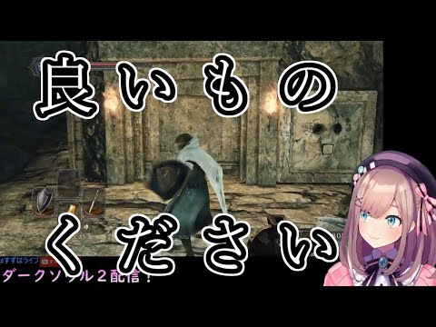 ダークソウル ゴミクズ の入手方法と効果や使いみち 攻略大百科 ダークソウル ゴミクズ の入手方法と効果や使いみち 攻略大百科