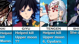 Contributions Of The Hashira I The Animescript