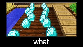 Minecraft wait what meme part 69 (diamonds in the garden)