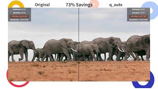 Explainer - Cloudinary's Auto Quality Transformations for Video Assets