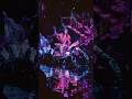 Have you seen The Shaman of Song at Pandora in Walt Disney World?