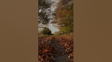 مطلع سورة (ق) بصوت الشيخ المنشاوي .. تلاوة تلامس أعماق القلب وتخشع لها الأرواح