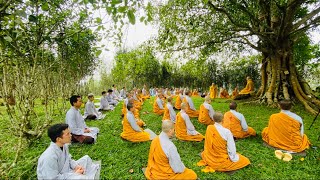 NIKAYA Trình Pháp - Nhận Diện Ngũ Uẩn Khi Ngồi Thiền