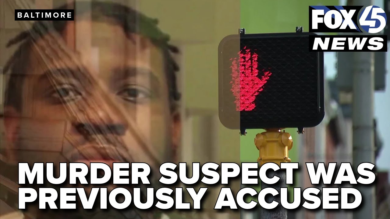 Federal Hill murder suspect accused of other crimes weeks before killing, records show