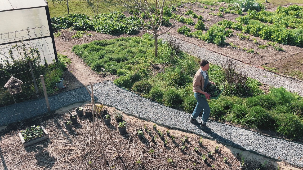 #3 🏵️TRANSFORMANDO NUESTRO JARDÍN EN UNA PRADERA DE FLORES | les contamos que flores vamos a plantar