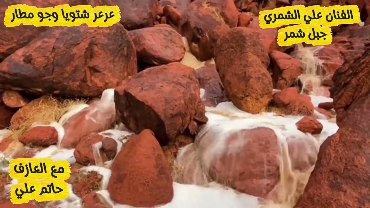 الفنان علي الشمري على عرعر 