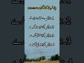 منافق دنیا Islamicvideo Shortvideo Foryou 