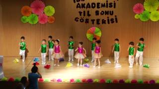 Özel İdeal Çocuk Anaokulu 2016 Yıl Sonu Gösterisi Profesör Arılar Sınıfı Şemsiye Dansı