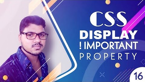 How to Use CSS Display and !Important Property | CSS Tutorial: 16 || BY CodePrime