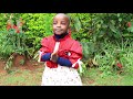 Mtoto Debora Akiucheza Wimbo Wa Melisa Cr Obby Alpha Melisa Cr 