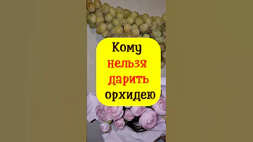 Кому нельзя дарить орхидею по народным приметам