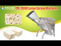 Fengxiang CD-3000 Commercial Cheese Dicing Machine Cheese Cutting Equipment#cuttingmachines #cheese