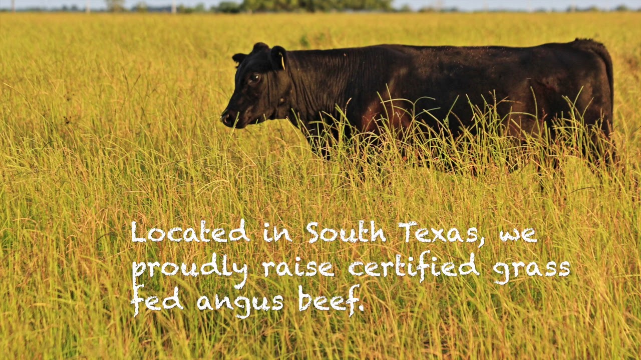 410 Farms - Green Acres Grass Fed Beef