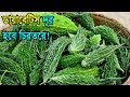 সপ্তাহে মাত্র ৩ বার করলার সাথে এটি খান আর ডায়াবেটিস চিরতরে নিয়ন্ত্রণে রাখুন ইনসুলিনের দিন শেষ