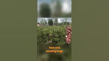 Trader Mission Hike & Survival Plans | 7 Days to Die