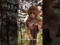 जानवरों के 10 अजीब फैक्ट्स | Animal Facts in Hindi | Amazing Facts About Animals"#facts