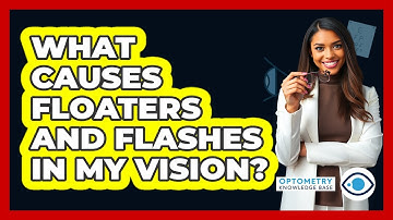 What Causes Floaters And Flashes In My Vision? - Optometry Knowledge Base