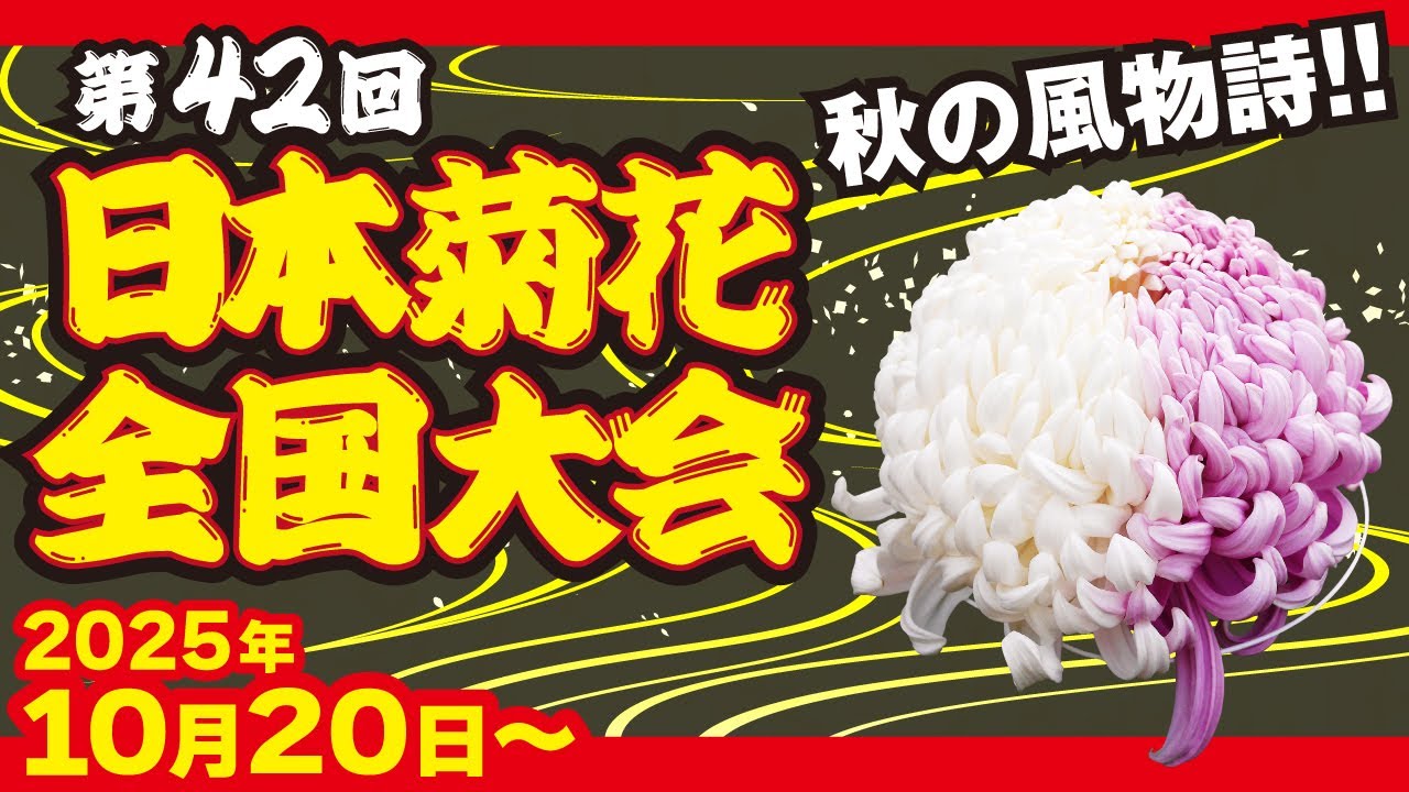 菊花ページ maxresdefault.jpg