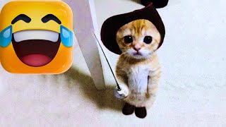 Funny Animal Videos 2023 😂😹 - Funniest Cats And Dogs Video 😂🤣-CatBlatt by CatBlatt 783 views 1 year ago 7 minutes, 47 seconds