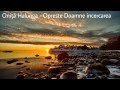 Onita Halunga - Opreste Doamne incercarea (live cover)
